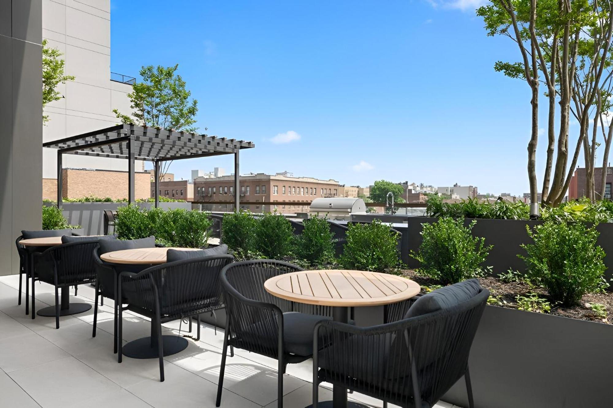 Apartment Discover Brooklyn Where Comfort Meets Vibes New York