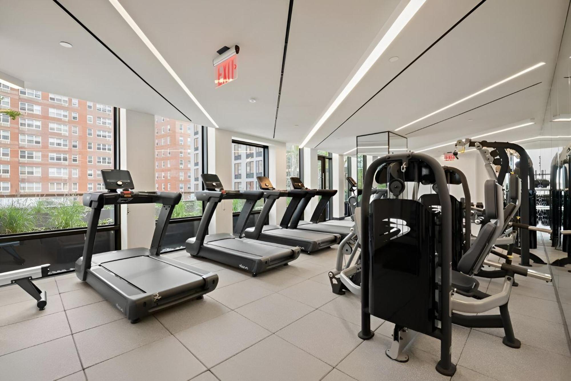 Discover Brooklyn Where Comfort Meets Vibes * New York